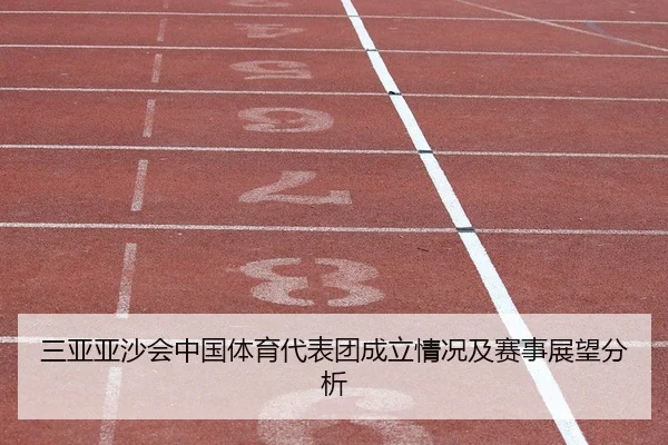 三亚亚沙会中国体育代表团成立情况及赛事展望分析