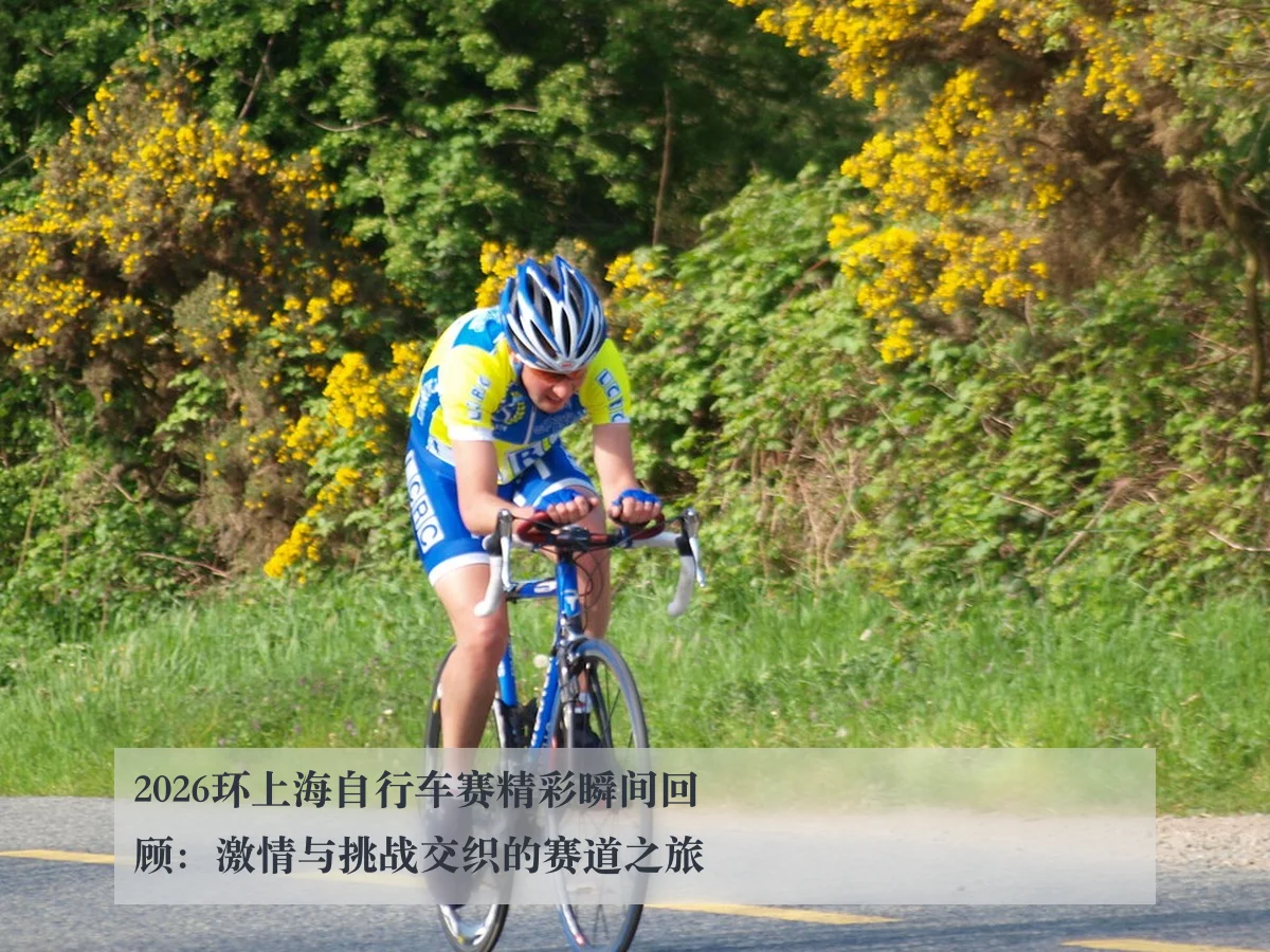 2026环上海自行车赛精彩瞬间回顾:激情与挑战交织的赛道之旅